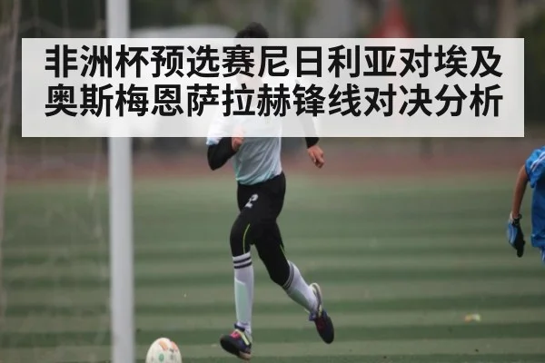 非洲杯预选赛尼日利亚对埃及 奥斯梅恩萨拉赫锋线对决分析
